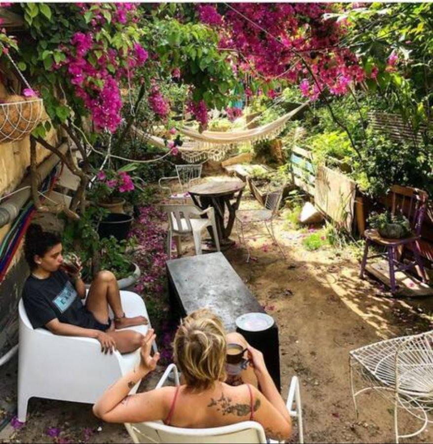 Jaffa Guesthouse テル・アビブ エクステリア 写真