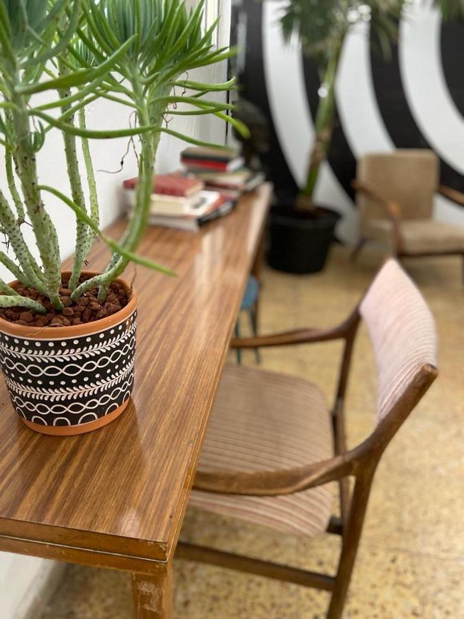 Jaffa Guesthouse テル・アビブ エクステリア 写真
